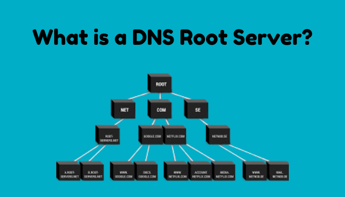 Read more about the article What is a DNS Root Server?