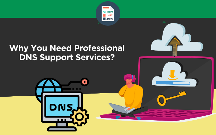 Read more about the article Why You Need Professional DNS Support Services?